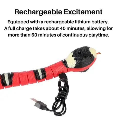 USB Rechargeable Toy