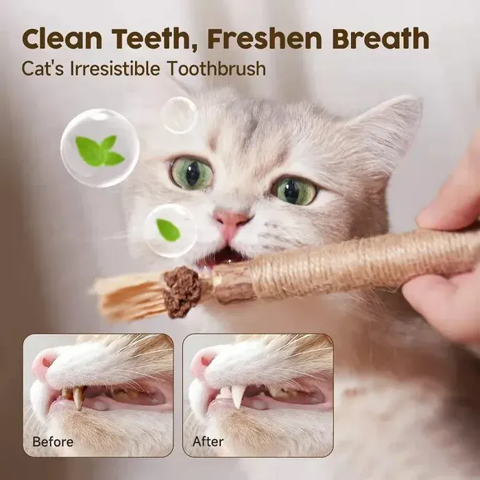 1702280207855-1.webp Natural Silvervine Stick Cat Chew Toy