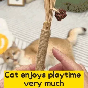 Cat teeth cleaning toy