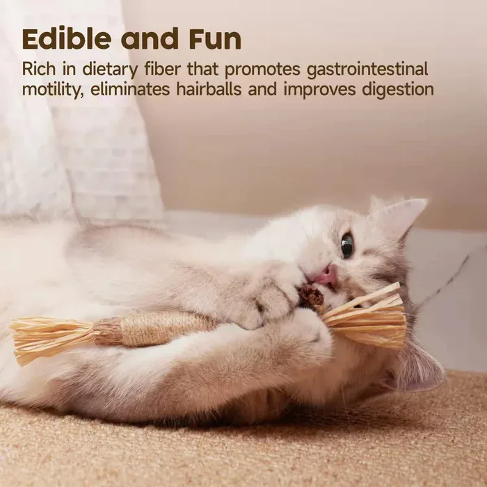 Interactive cat toy