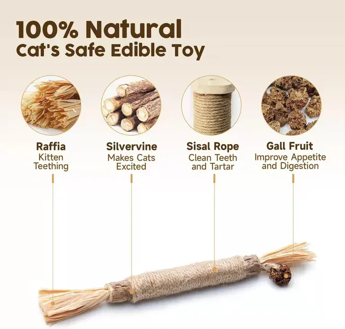 Cat’s favorite toy