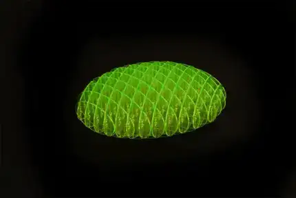 Worm Pocket 12x12 Fidget Toy