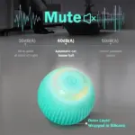 2 in 1 Realistic Interactive Cat Hunting Toy