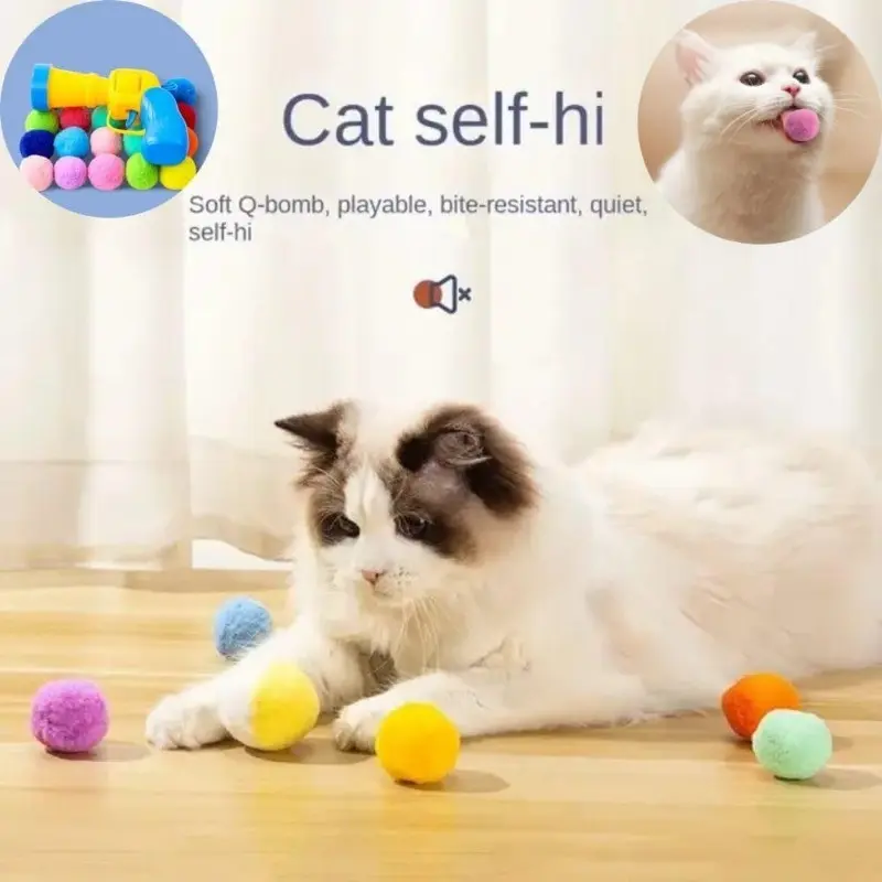 Indoor cat playing