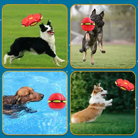 Concave-Convex Texture Pet Toy