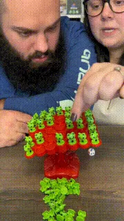 Frog Balance Toy