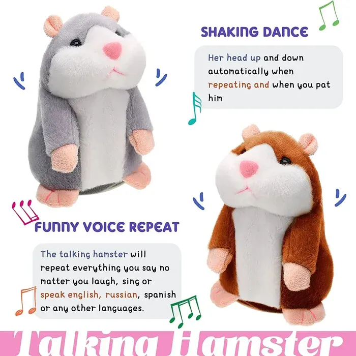 Hamster as a Gift
